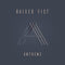 Raised Fist - Anthems LP