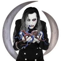 Eat The Elephant on A Perfect Circle bändin vinyyli LP-levy.