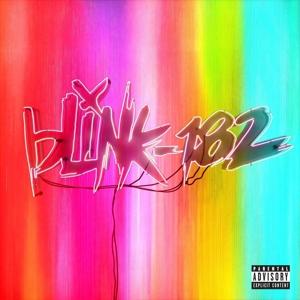 Nine on Blink 182 bändin vinyyli LP-levy.