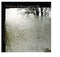 For Emma, Forever Ago on Bon Iver artistin vinyyli LP-levy.