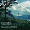 Black Sands on Bonobo artistin vinyyli LP-levy.