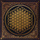 Sempiternal on Bring Me The Horizon bändin vinyyli LP.