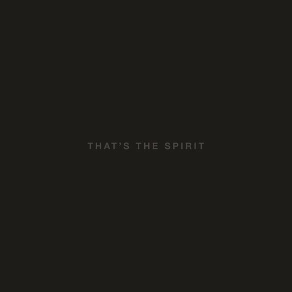 That's The Spirit on Bring Me The Horizon bändin vinyyli LP.