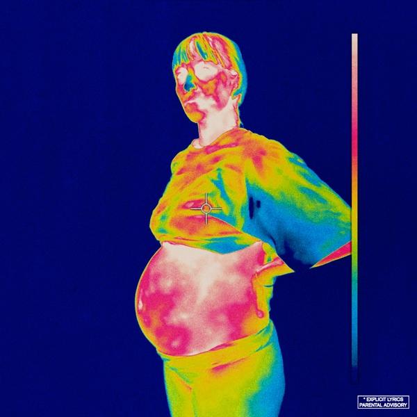 Iridescence on Brockhampton bändin vinyyli LP.