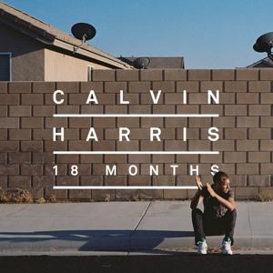 18 Months on Calvin Harris artistin vinyyli LP-levy.
