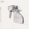 A Rush Of Blood To The Head on Coldplay bändin vinyyli LP-levy.