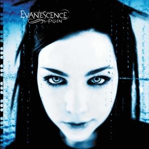 Fallen on Evanescence bändin vinyyli LP.