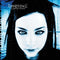 Fallen on Evanescence bändin vinyyli LP.
