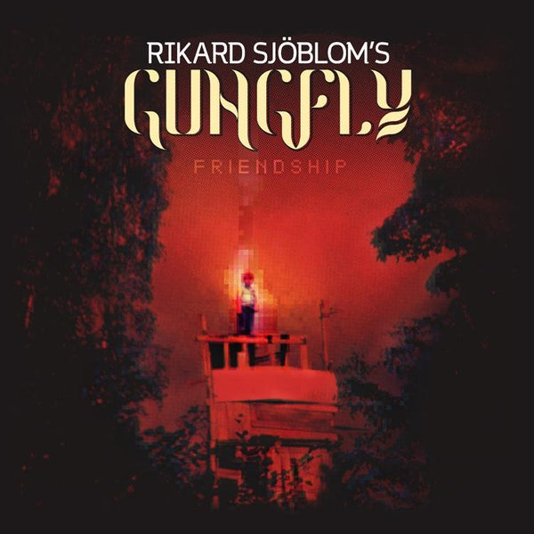 Friendship on Gungfly bändin vinyyli LP.