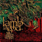 Ashes Of The Wake on Lamb Of God bändin vinyyli LP-levy.