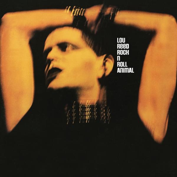 Rock'n Roll Animal on Lou Reed artistin vinyyli LP.