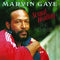 Sexual Healing: The Remixes on Marvin Gaye artistin vinyyli LP-levy.
