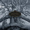 Hushed And Grim on Mastodon bändin vinyyli LP-levy.