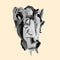 Milk Teeth on Milk Teeth bändin vinyyli LP-levy.