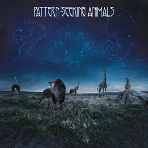 Pattern-Seeking Animals on Pattern-Seeking Animals bändin vinyyli LP-levy.