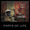 Parts Of Life on Paul Kalkbrenner artistin vinyyli LP-levy.