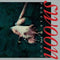 Swoon on on Prefab Sprout bändin vinyyli LP.