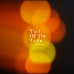 Part Of The Light on Ray LaMontagne artistin vinyyli LP-levy.