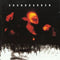 Superunknown on Soundgarden bändin vinyyli LP-levy.